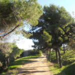 senderismo-barcelona-Montjuic
