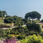 barrio-montjuic-jardinvotanico